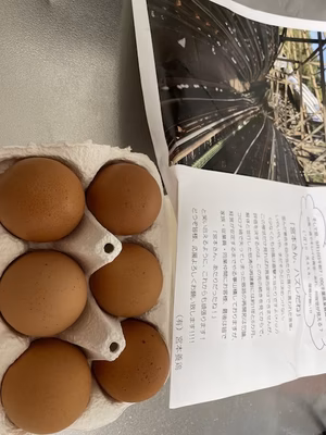 みんなの投稿の画像