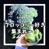 能登ブロッコリー