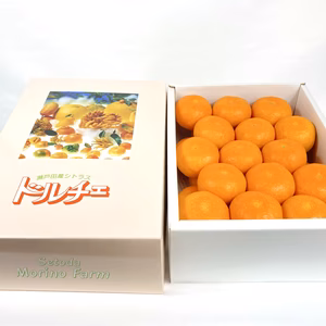 【ドルチェみかん】とろけるような完熟ハウスみかん化粧箱★お中元に✴︎贈答品