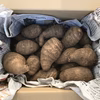ねっとり甘い里芋 1〜2kg【山梨県産】