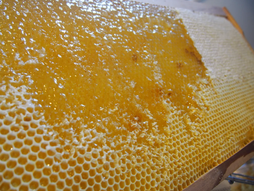 風味の違いを楽しめるハチミツ食べ比べセット[70g×3]