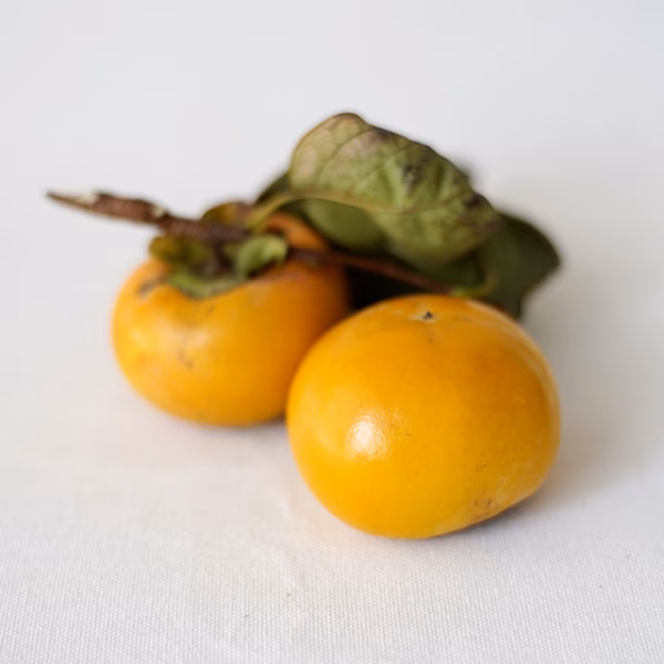 富有柿 3kg 【千葉県船橋市のあま～い柿！】 