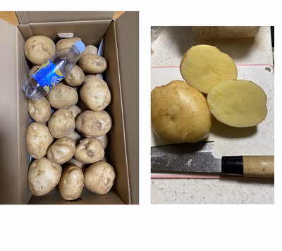 みんなの投稿の画像