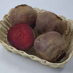 北海道　極寒　けんぶちビーツ　デトロイト種　（有機農薬）