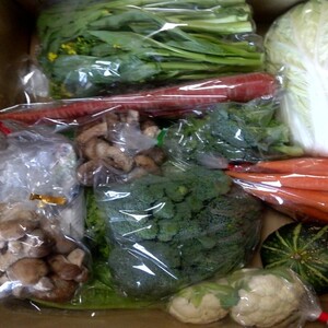 炎のべっぴん野菜セット