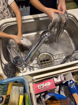 みんなの投稿の画像