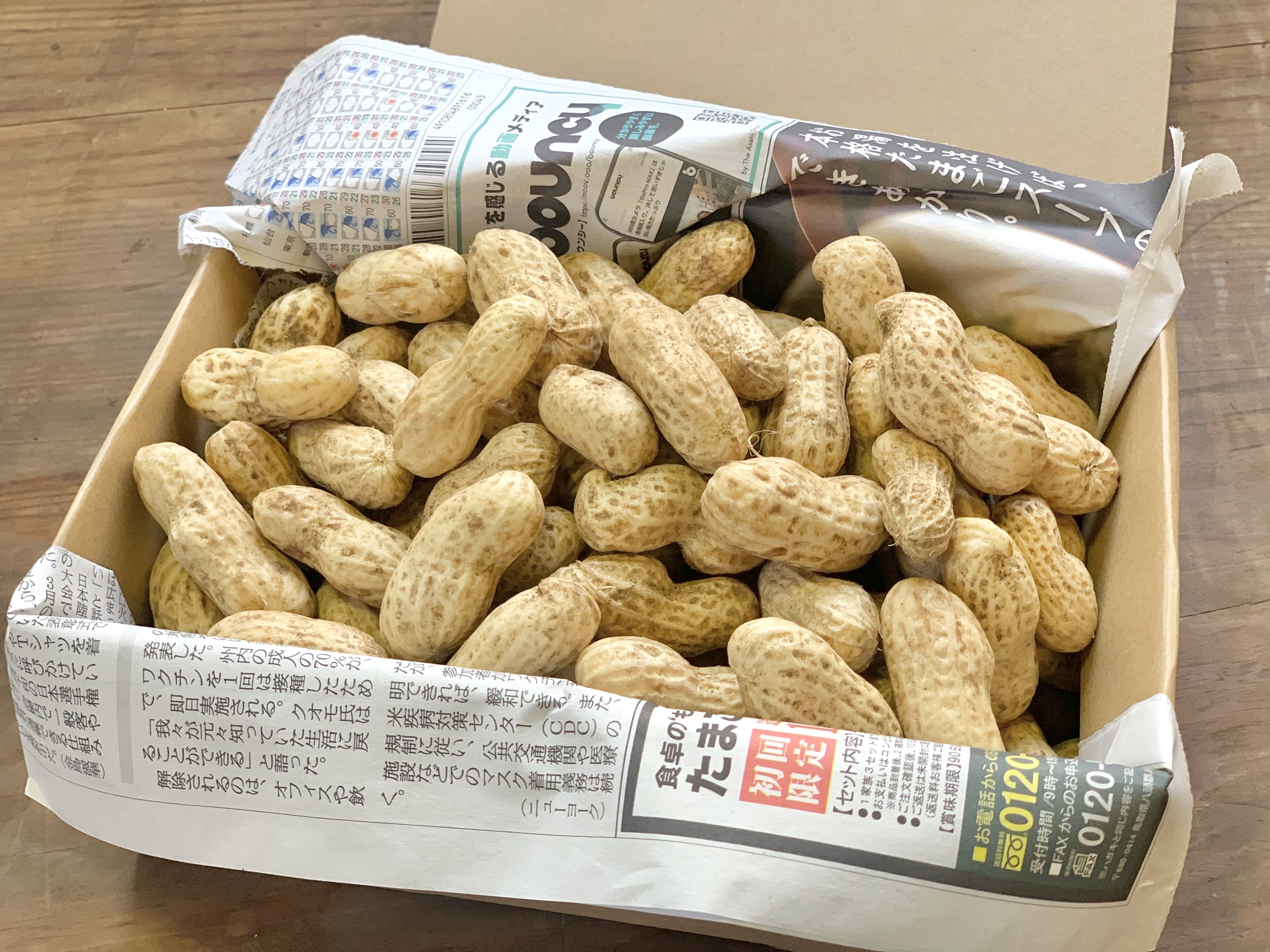 おおまさりの産直通販・お取り寄せ商品｜ポケットマルシェ｜産地直送で