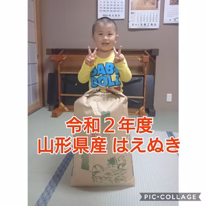 令和２年度 山形県産 はえぬき １等米