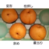 R5　【自家用】 新興梨3キロ　（6玉）
