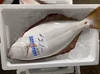 秋田県産‼️活締め　天然ヒラメBOX‼️　鮮魚［2025リミテッド］