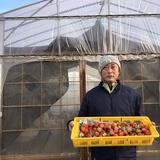 酒井義明 | どらちゃん農園