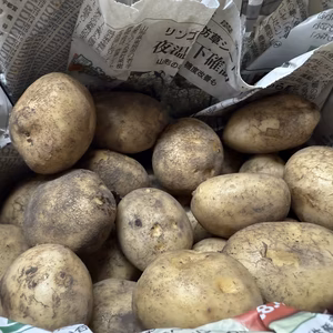 R7年春の新ジャガイモSサイズ２ｋｇ