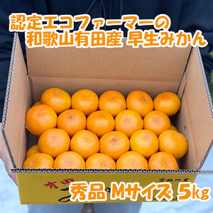 【秀品・Ｍサイズ】和歌山有田産！早生みかん≪5㎏≫★11月下旬～発送