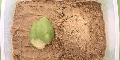 女子大生、乳酸菌を飼う。ぬか床と私の1週間レポート