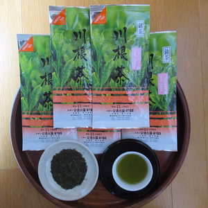 【たっぷり飲める】川根茶せせらぎ100ｇ袋入×５袋セット