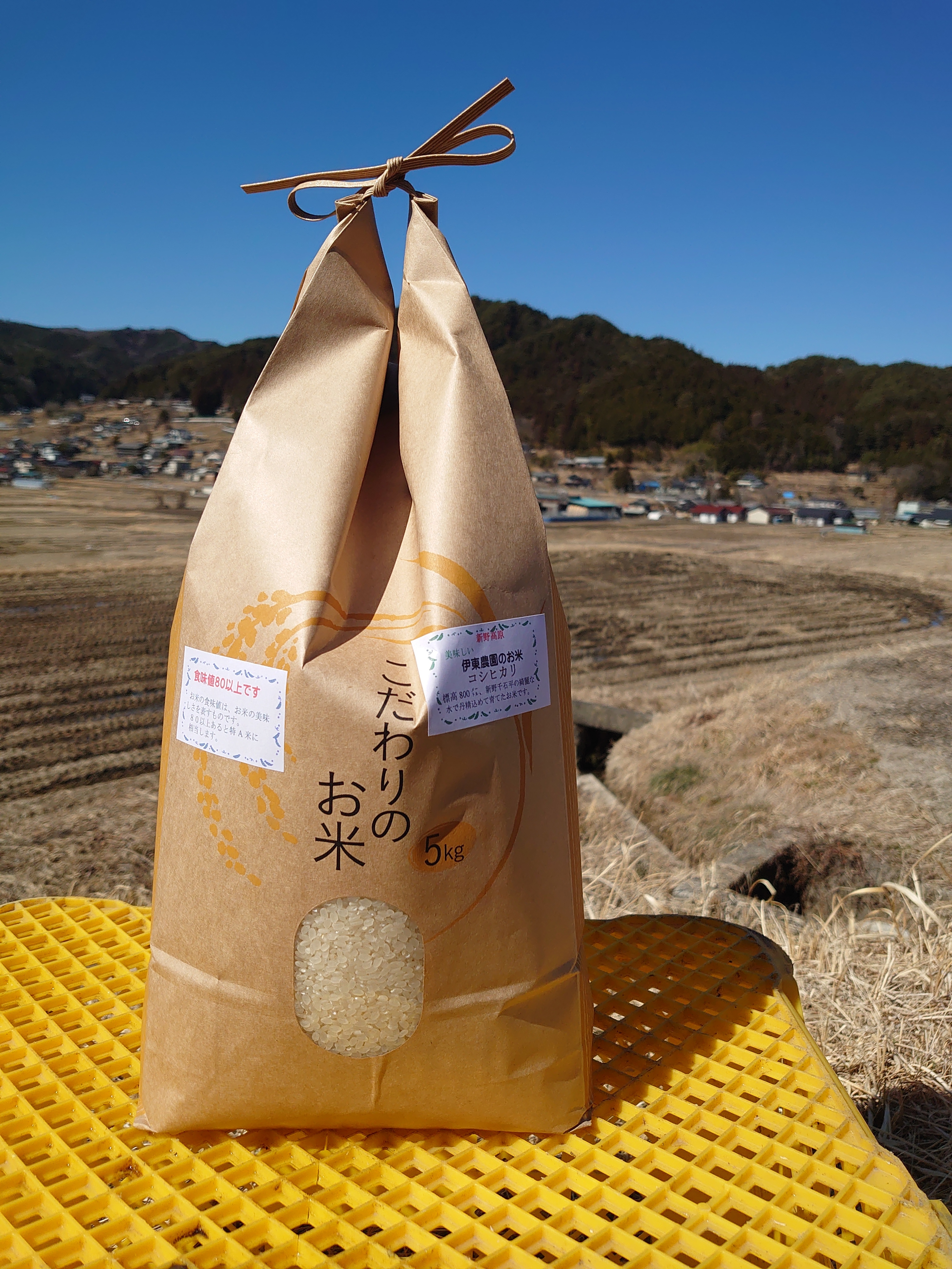 伊東農園のコシヒカリ精米10kg味香りが良い!｜白米の商品詳細