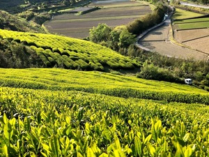 HOME 生産者一覧 梶原康弘