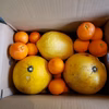 チャンドラポメロ、ジャンボレモン、ブラッドオレンジ　約５㌔