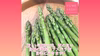 北海道農業女子の朝採りグリーンアスパラ【M･ＬサイズMIX】