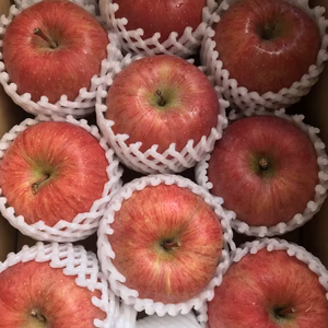 CA冷蔵品 青森県産りんご「有袋ふじ」家庭用 キズ有 約3kg シャキシャキ！