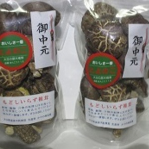 【夏ギフト】乾椎茸　水戻し不要（大分産肉厚どんこ１００ｇ入り２袋）7月発送