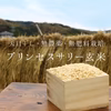 2022年産 プリンセスサリー玄米【無農薬・無肥料・天日干し】