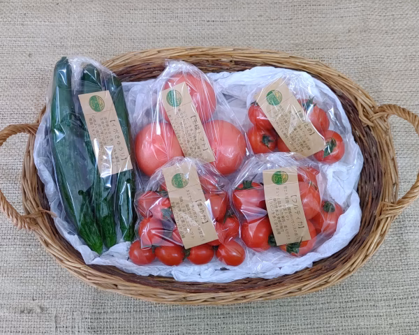 初めてご注文のお客様へ【初回限定】ぶるベジトマトのお試し！春の詰合せ♪