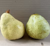 洋梨✨『マリゲット　マリラ』家庭用
