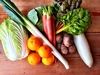 【ゼロエネルギーCO2フリー】自然農野菜セット【冷蔵配送】