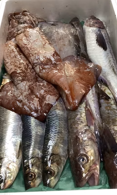 みんなの投稿の画像