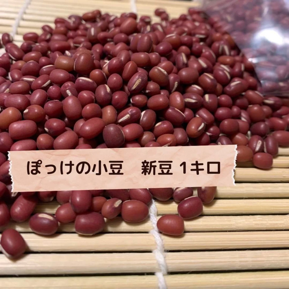 【北海道自然栽培】ぽっけの小豆（新豆）