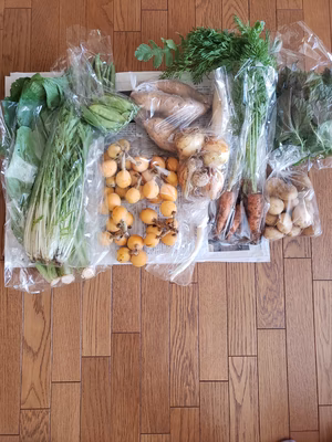 みんなの投稿の画像