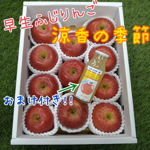 早生ふじりんご『涼香の季節』★おまけ付き★