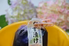 9月予約）70限定4千円セール　なす漬け（つたえ、水茄子漬）