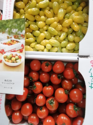 みんなの投稿の画像