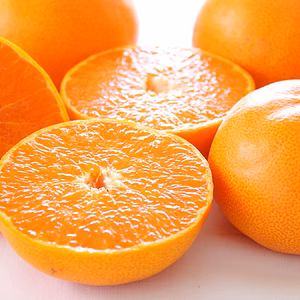 【予約】せとか〈秀品・小箱〉約1.5kg～　※発送は2月中旬頃～