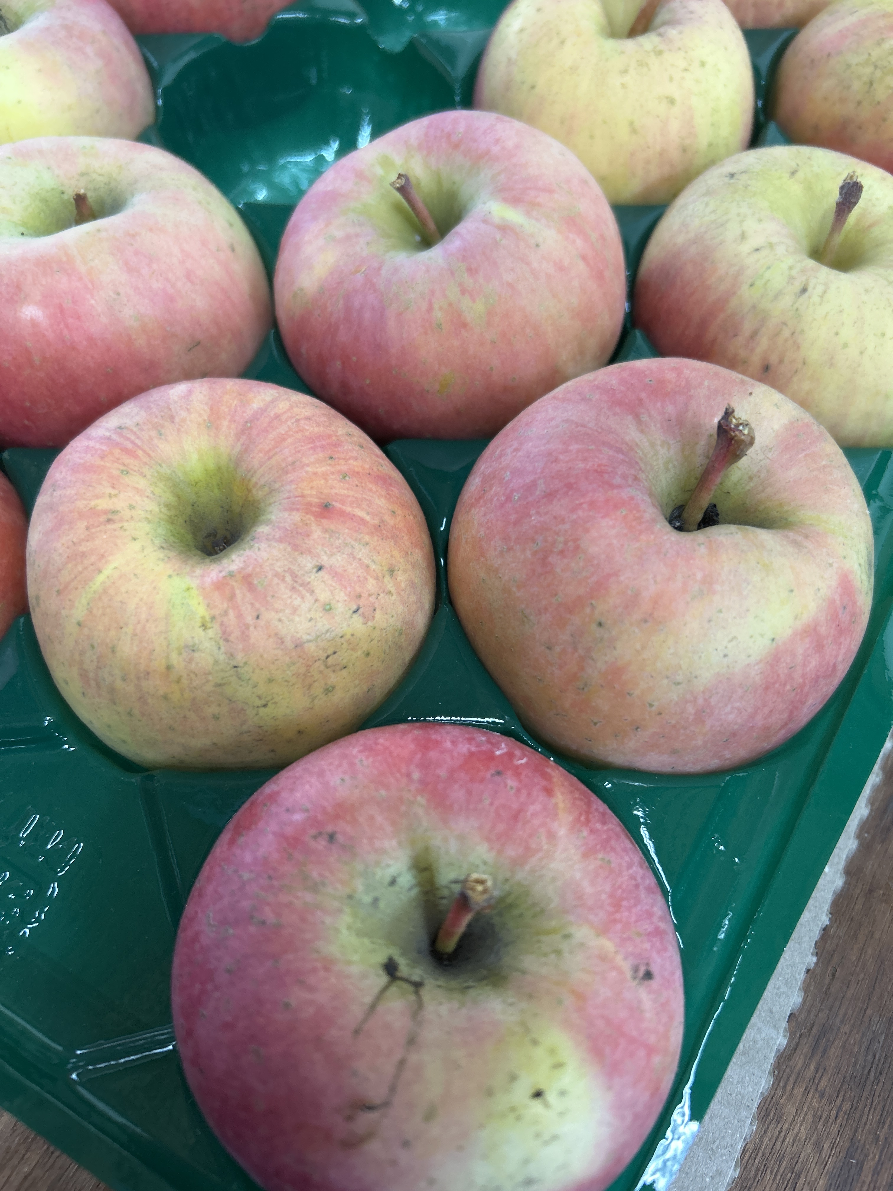 リンゴ　GP980 限定！無くなり次第終了 訳あり こうとく 約1kg｜りんごの商品詳細