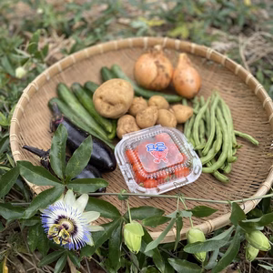 #無農薬　#野菜　詰め合わせ　80.サイズ