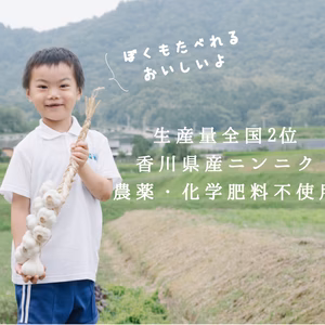 【農薬、化学肥料不使用】ニンニク1kg 程よい香りと濃厚な旨味