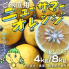 ご家庭用！自然栽培ニューサマーオレンジ【農薬不使用】