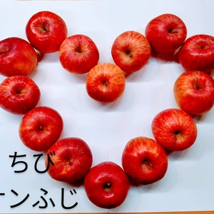 タブレット アップル〜小さいりんごは好きですか？〜