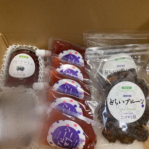 ✳︎プルーン加工品セット✳︎