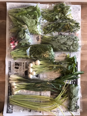 みんなの投稿の画像