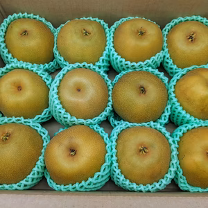 梨3Lサイズ箱詰め