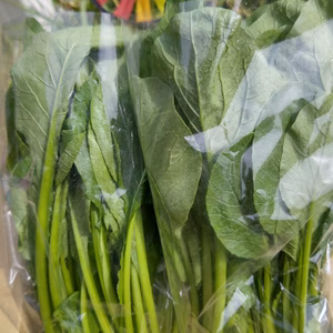 BIGサイズ！露地でのびのび育った美味しい小松菜！