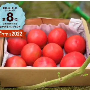 野菜のトマトの商品一覧｜ポケットマルシェ｜産直(産地直送)通販 - 旬