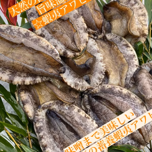 中サイズ アワビ海鮮 BBQ 網焼 漁師 お鍋 #貝類　刺身　活かし　