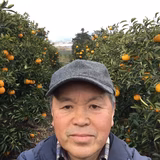 河村猛