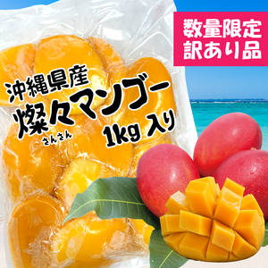 訳あり【沖縄県産】冷凍 燦々マンゴー（ハーフカット）【無添加・保存料不使用】