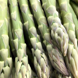 【人気のおまけ付き♪】おうち時間を楽しむ北海道産アスパラ900g